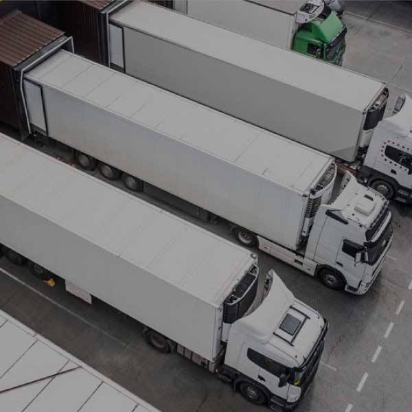 Frigo Taşımacılığı